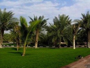 اردني يتبرع بمزرعة مساحتها ٥ آلاف دونم لنقل الزعتري