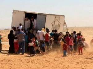 القبض على تسعة سوريين جدد من "الخلايا الأمنية النائمة"