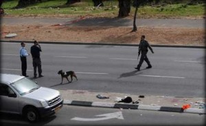 انفجار سيارة شمال فلسطين وإصابة إسرائيليين