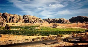 الخميس : زخات مطرية محتملة في شمالي المملكة