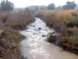 إسرائيل تسحب ما تبقى من مياه نهر الأردن