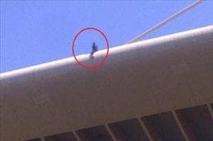 انتحار شاب بالقفز من فوق جسر عبدون