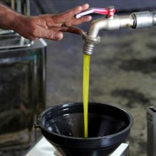 نقابة معاصر الزيتون تحذر من تزايد تهريب زيت الزيتون السوري