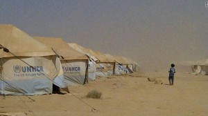 7 آلاف لاجئ يعودون إلى سوريا