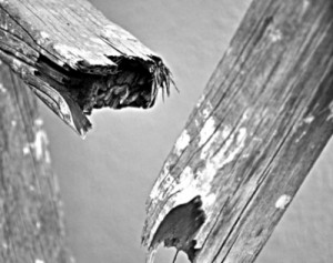 الفرنسية: الأردن يترقب معركة كسر عظم الجمعة