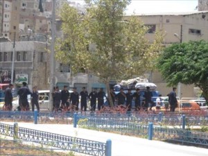 تطويق "النخيل" بسياج حديدي متحرك