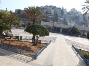 انقسام في «الولاء والانتماء»حول تأجيل او استمرار فعاليتهم