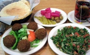 عضو بالكونغرس الامريكي تحذر من الفلافل والشاورما وغيرها من الأطعمة الجهادية