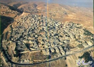 الكرك: وفاة طفل دهسا ببلدة القصر