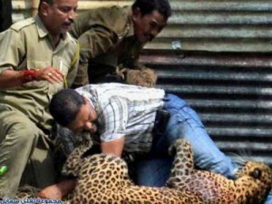 أكلوا لحوم أصدقائهم لينجوا من الموت