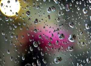 توقع زخات محلية رعدية من المطر