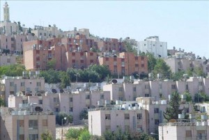 مقتل شخص اثر مشاجرة في ابو نصير