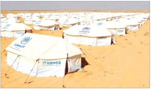 تعبيد طرق "الزعتري" بنصف مليون دينار