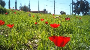 انخفاض طفيف على الحرارة الجمعة