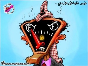 خطة ذكيه للحكومة قلصت أعداد المستفيدين من الدعم والنية تتجه لرفع أسعار الكهرباء