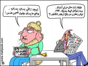 النسور : رفع الكهرباء لمن تزيد فاتورته الشهرية على (70) دينارا.