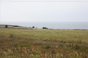 استجواب مهندسين على خلفية شراء أراض حولها شبهات فساد