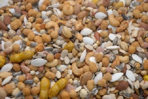 إهمال الاطباء وعائلة طفلة يودي بحياتها بعد إبتلاعها «بزرة»