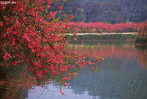 منخفض جوي الخميس ويشتد الجمعة