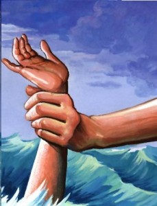 وفاة طفلة غرقا في بركة زراعية بالكرك