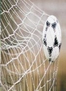 التحقيق في ملف "شووت"