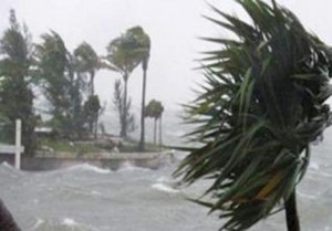 الثلوج تغلق طريق الشوبك - البتراء