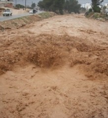 44 مليون متر مكعب تدخل السدود بيوم واحد