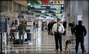 العثور على 18 رأساً آدمياً في مطار بشيكاجو