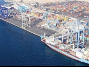 وثائق تثبت وجود حشرات حية على متن باخرة شعير هندية والحكومة تنفي