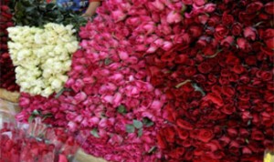 حريق في بورصة الزهور بحدائق الملك عبدالله