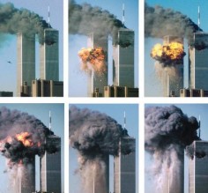 2013 .. سنة ثعبان سامة