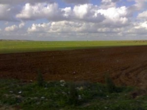 جهات مجهولة تبيع 250 دونماً من أراضي جرش