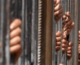 توقيف نبيل المصري وحاتم الشاهد