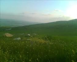 انخفاض الحرارة.. اليوم وغداً