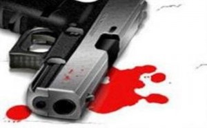 خلاف على مزرعة أبقار يتسبب بجريمة قتل في الشونة