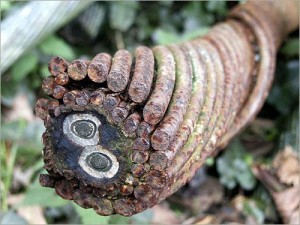 14 يوما لعودة الانترنت الى الاردن