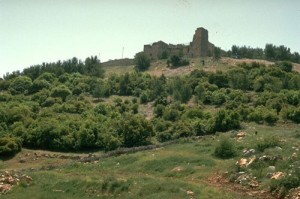 حدث يقتل قريبته خنقا ويلقيها بمنطقة حرجية