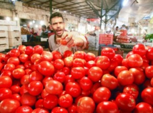 البندورة "اسعارها نار"