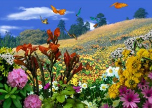 ارتفاع درجات الحرارة وطقس معتدل حتى الأحد