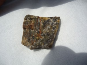 النائب ابو الصعاليك يهدي النسور حجر وأخر يتهمه بمحاربة الله ورسوله و الجنرال المجالي يغازل جودة