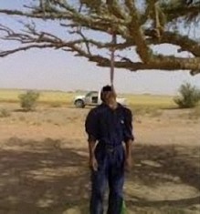 العثور على جثة معلقة بشجرة في عجلون