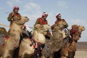 توتر في البادية الشمالية اثر اصابة شخص بطريق الخطأ على يد قوات البادية