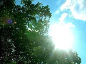 أجواء ربيعية لطيفة الجمعة