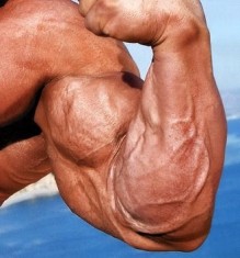 منشطات بناء الأجسام تفتك بالأردنيين