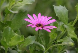 حالة الطقس ..! الاربعاء