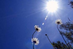 الاربعاء : اجواء حارة