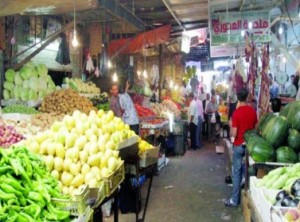 تصدير 459 طن خضراوات لإسرائيل الشهر الماضي