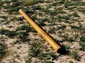 شاب يحطم سيارة نائب في الغور الشمالي