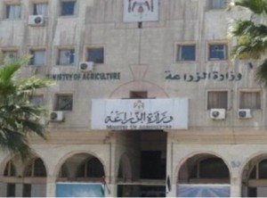 تحويل 6 من موظفي "الزراعة" إلى النائب العام