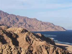 18 قتيلاً وجريحاً بهجوم على حافلة عمال في سيناء